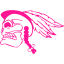 deep pink skull 66 icon