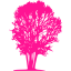 deep pink tree 31 icon