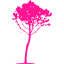 deep pink tree 34 icon