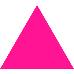 triangle icon