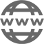 dim gray domain icon