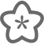 dim gray flower icon