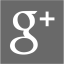 dim gray google plus 2 icon