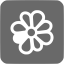 dim gray icq 3 icon