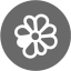 dim gray icq 4 icon