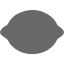 dim gray lemon icon