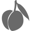 dim gray peach icon