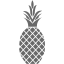 dim gray pineapple icon