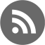 dim gray rss 4 icon