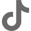 dim gray tiktok icon