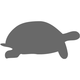 tortoise icon