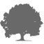 dim gray tree 22 icon