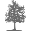 dim gray tree 26 icon