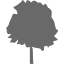 dim gray tree 37 icon