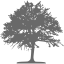 dim gray tree 46 icon