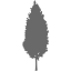 dim gray tree 50 icon