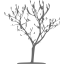 dim gray tree 7 icon