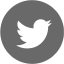 dim gray twitter 4 icon