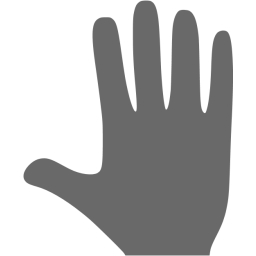 whole hand icon