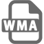 dim gray wma icon