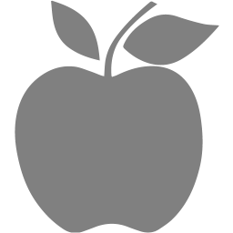 apple 2 icon