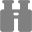 gray binoculars icon
