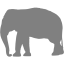 elephant 4