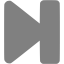 gray end icon