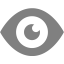 gray eye 2 icon