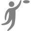 gray frisbee icon