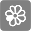 gray icq 3 icon