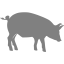 gray pig 6 icon