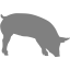 gray pig 7 icon