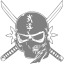 gray skull 11 icon