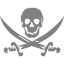 gray skull 57 icon