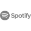 gray spotify 2 icon