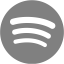 gray spotify icon