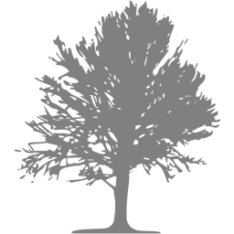 tree 18 icon