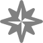 gray wind rose icon