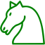 green chess 10 icon