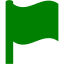 green flag icon