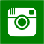 green instagram 2 icon