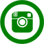 green instagram 5 icon