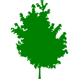 tree 25 icon