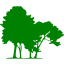 green tree 56 icon