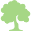 guacamole green deciduous tree icon