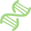 guacamole green dna helix icon