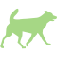 dog 32