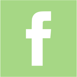 facebook 2 icon