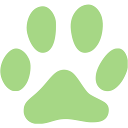 Guacamole green cat icon - Free guacamole green animal icons